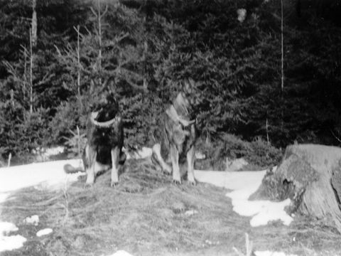 Foto 15